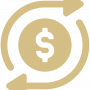 ROI Icon